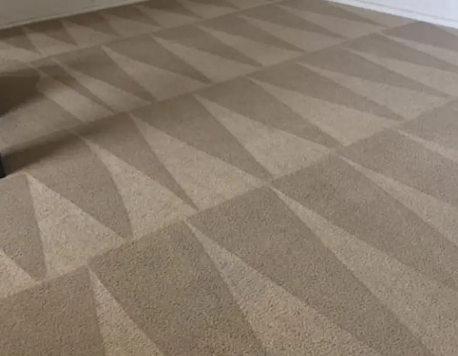 Carpet Cleaning Services in Mission Hills