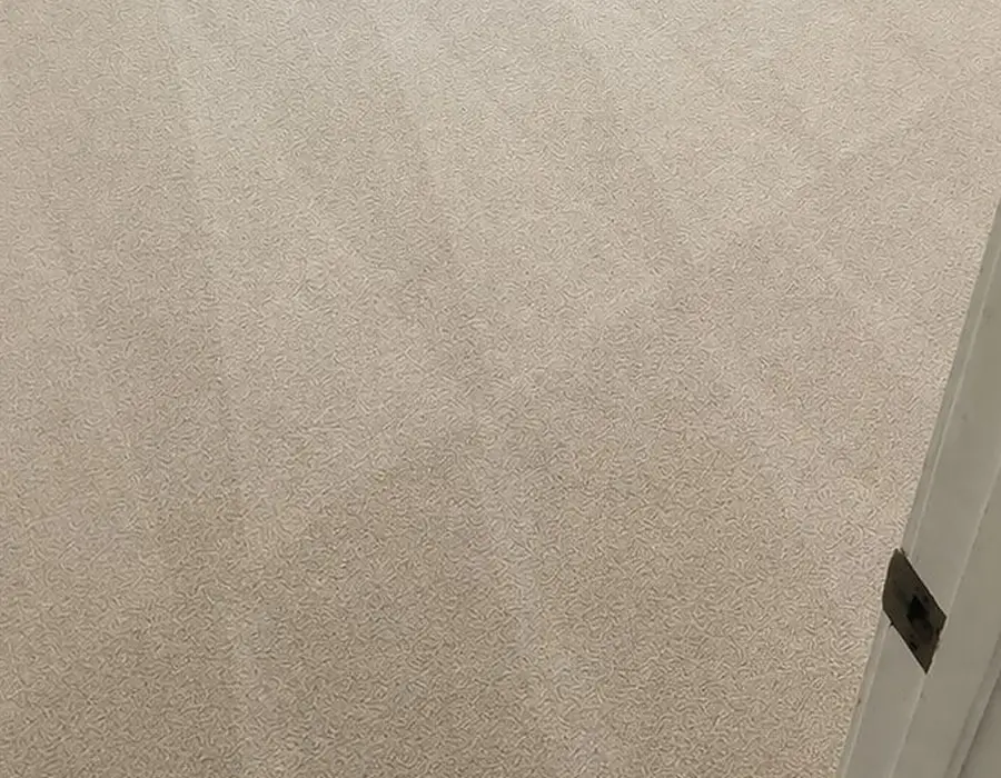 Carpet Cleaning Services in Brentwood