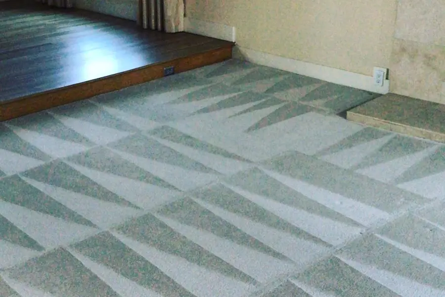 Carpet cleaning Beverly Hills - professionally cleaned patterned carpet