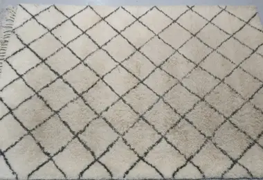 Area Rug Cleaning