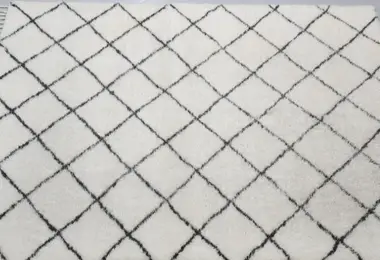 Area Rug Cleaning