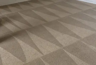 Commercial Carpet Cleaning