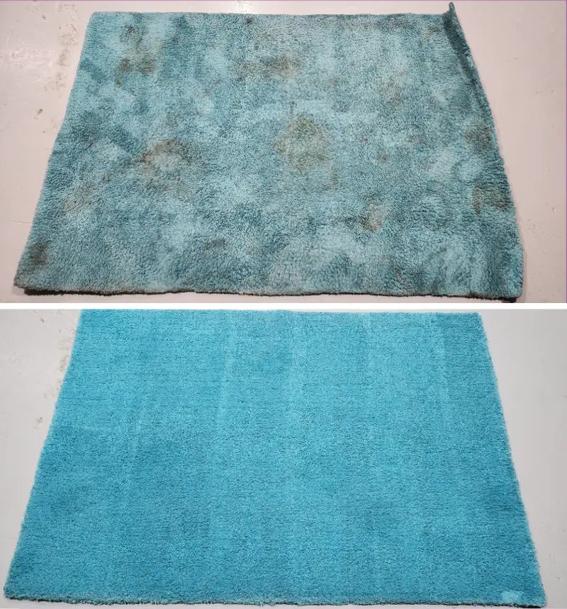carpet cleaning mattress