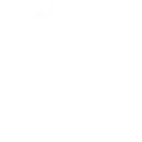10+ Years of Experience
