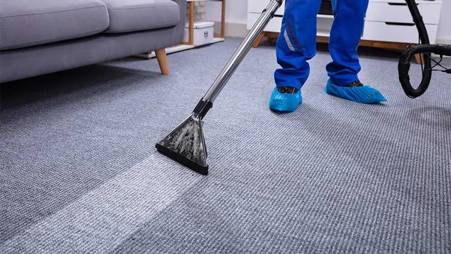 Professional Cleaning for All Carpet Types