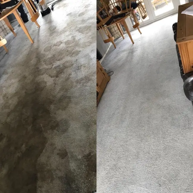 Professional Carpet Cleaning That Goes Beyond Surface Cleaning