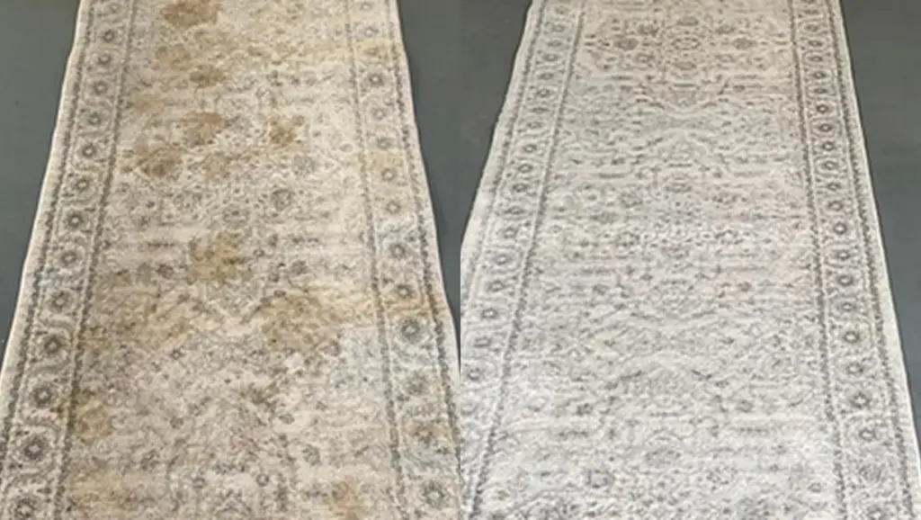 carpet cleaning mattress