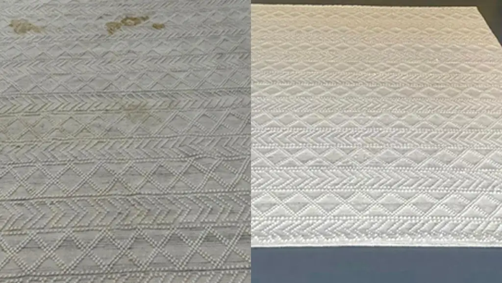 carpet cleaning mattress
