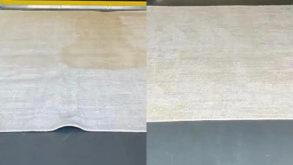 carpet cleaning mattress