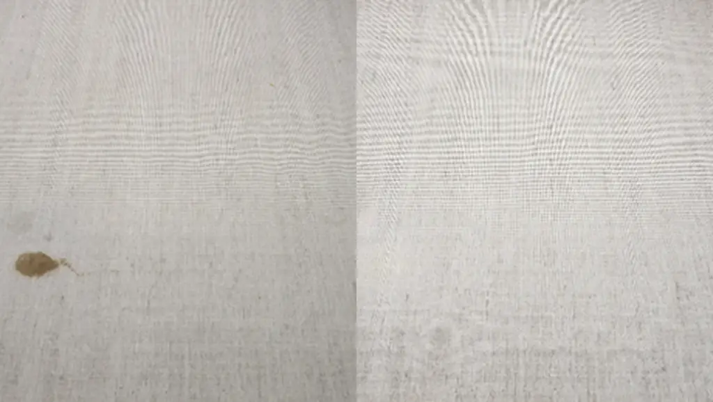 carpet cleaning mattress