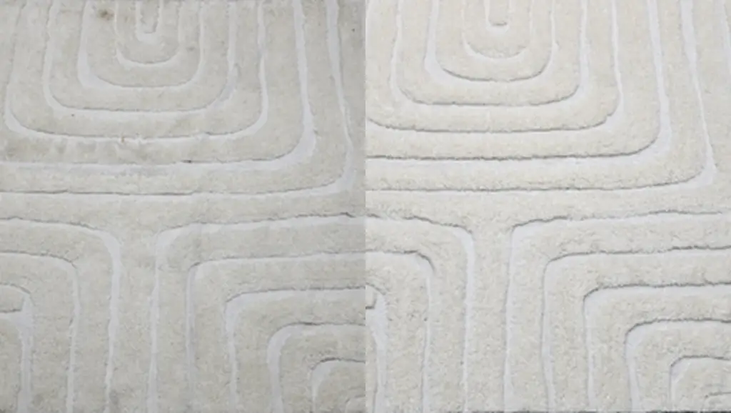 carpet cleaning mattress