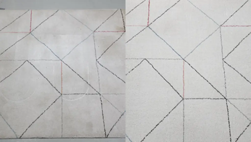 carpet cleaning mattress