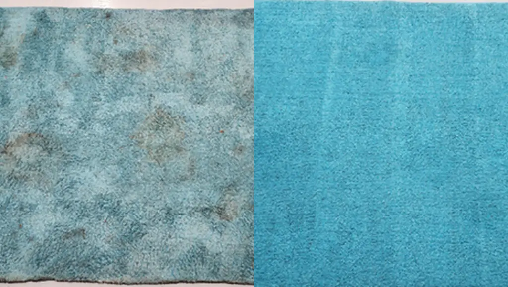 carpet cleaning mattress