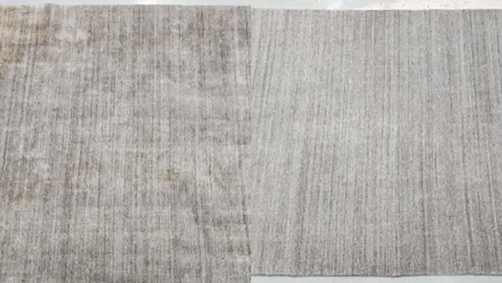 carpet cleaning mattress
