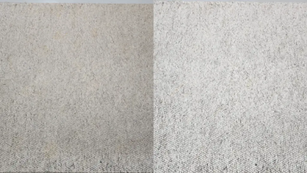 carpet cleaning mattress