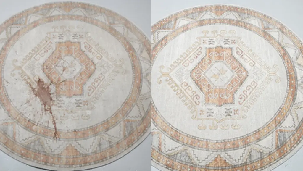 carpet cleaning mattress
