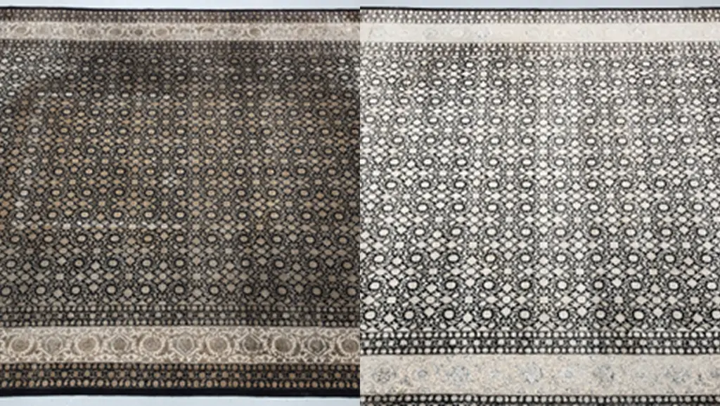 carpet cleaning mattress