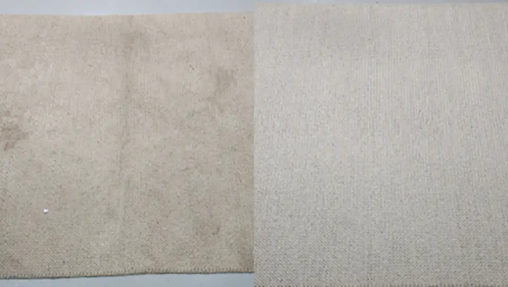 carpet cleaning mattress