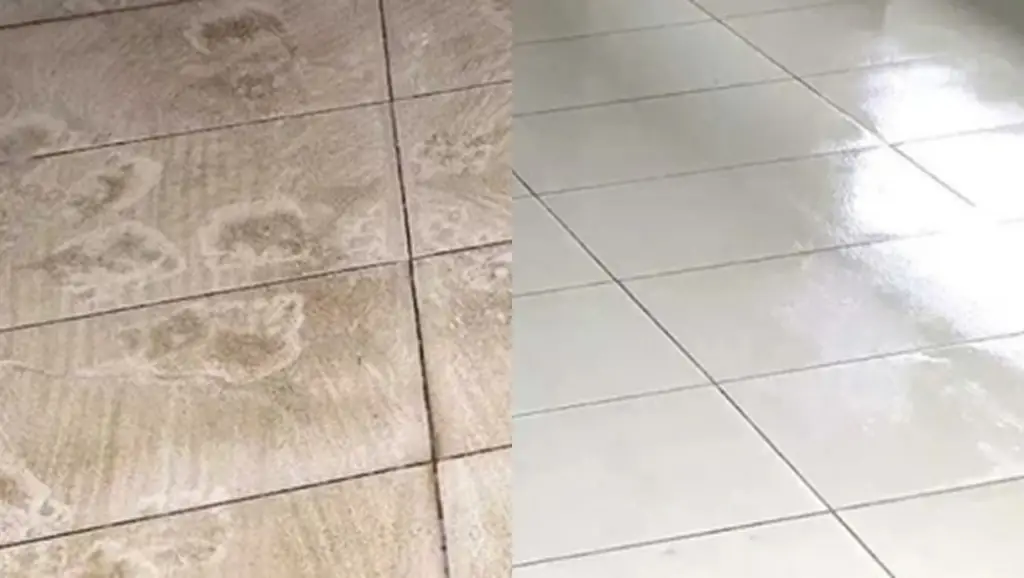 carpet cleaning service tile