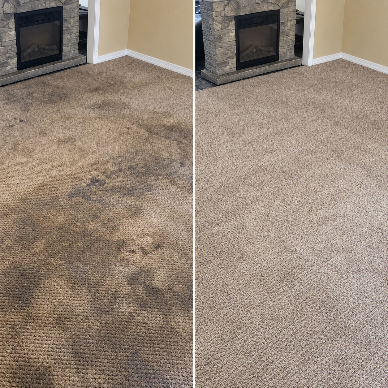 carpet cleaning main hall room