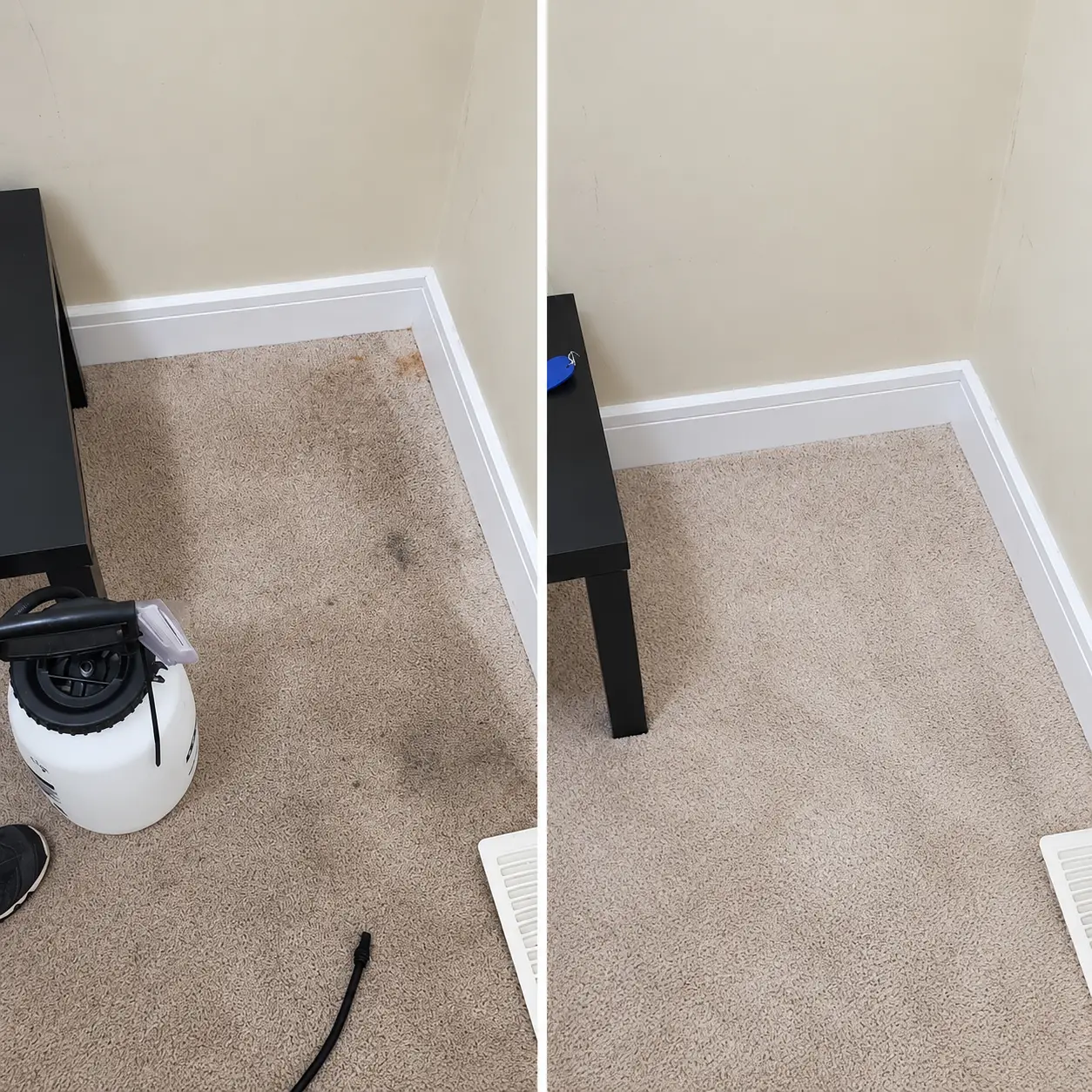 Carpet Cleaning Services in Agoura Hills