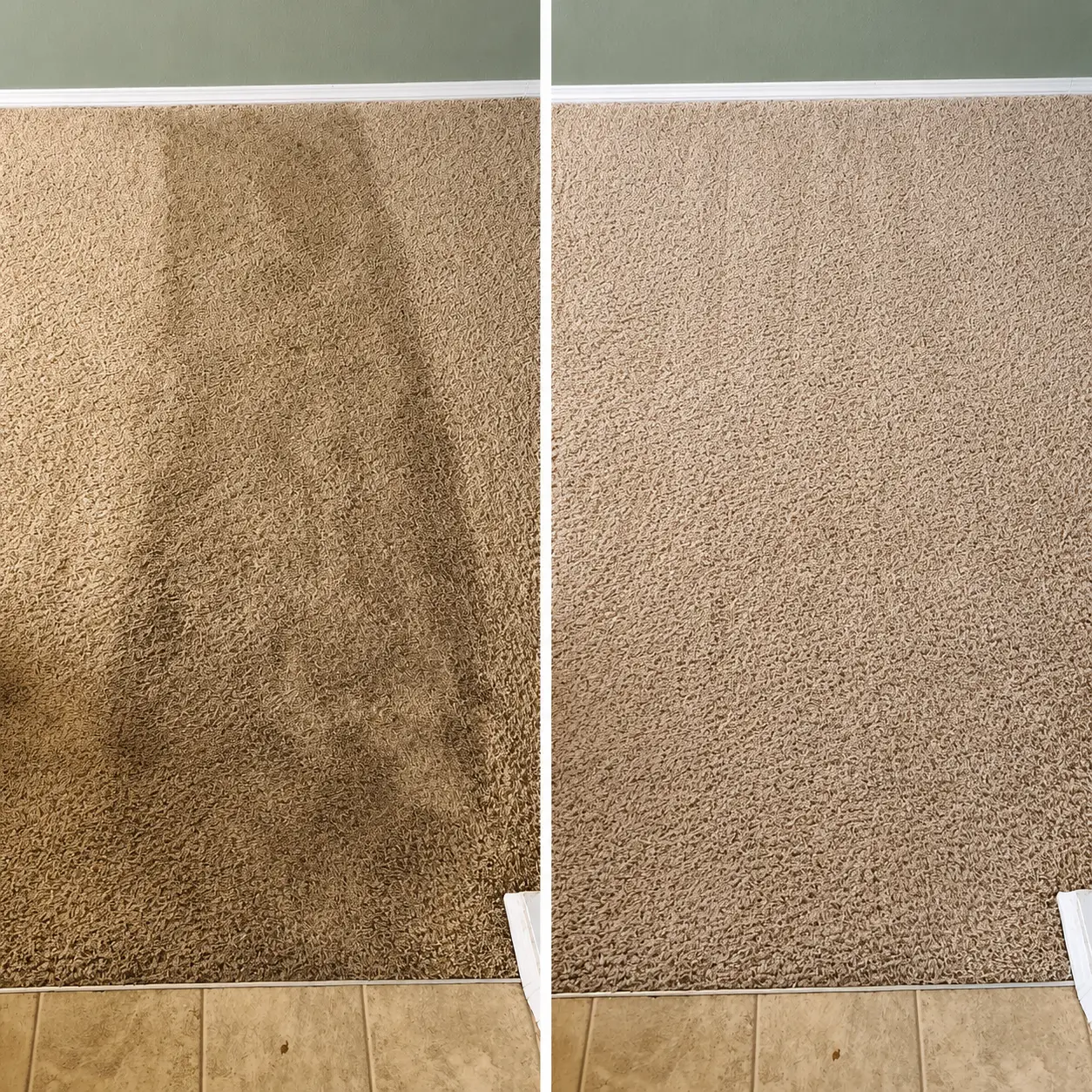 Trusted Carpet Cleaning Services in Beverly Hills