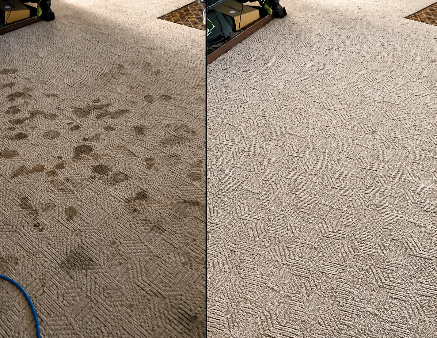carpet cleaning stain removal