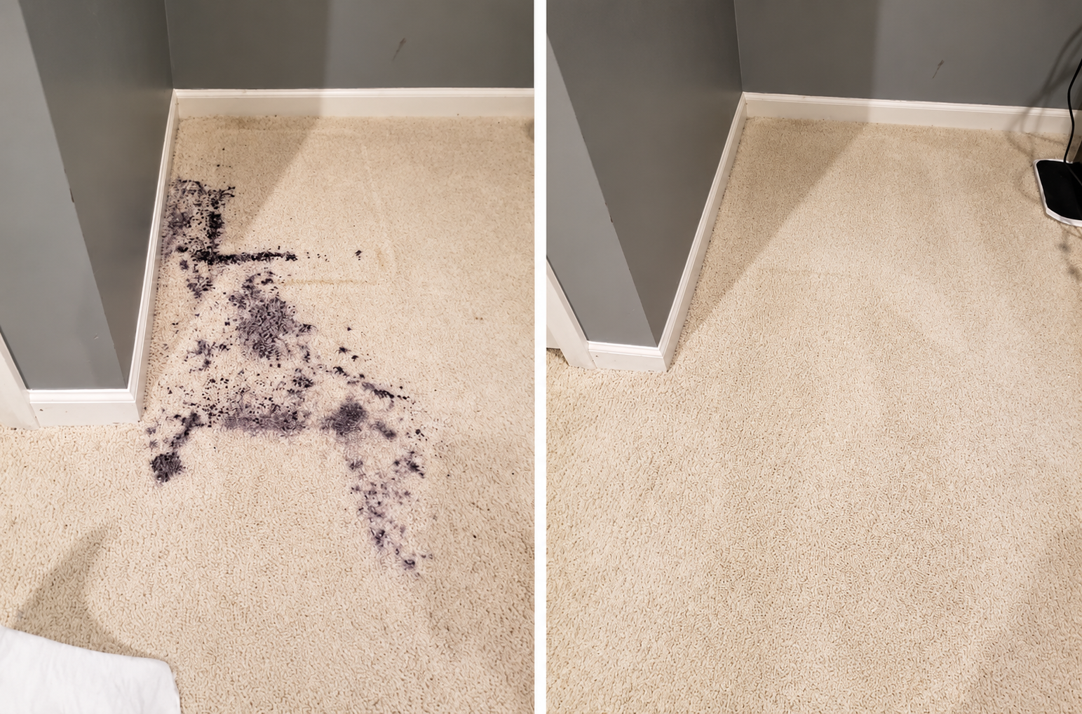 Carpet & Rug Cleaning in Sherman Oaks