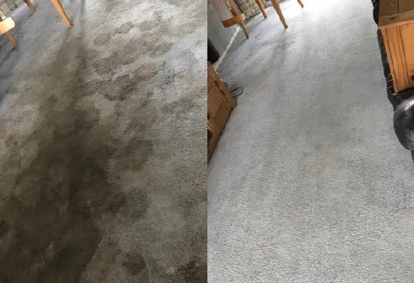 Why Choose Jetsons Carpet Care
