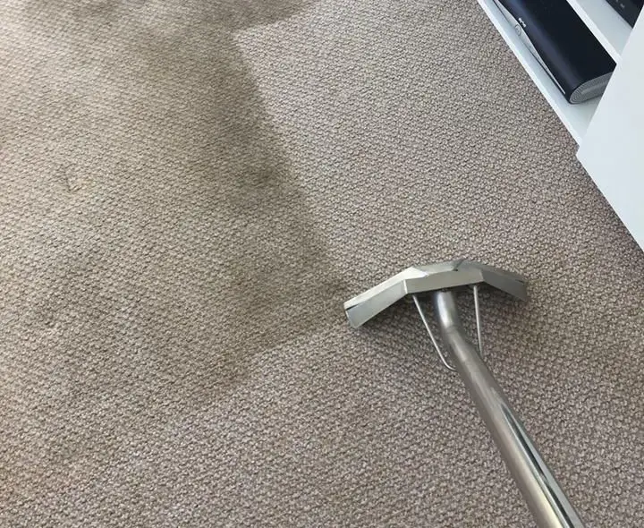 How to Get a Free Commercial Carpet Cleaning Quote