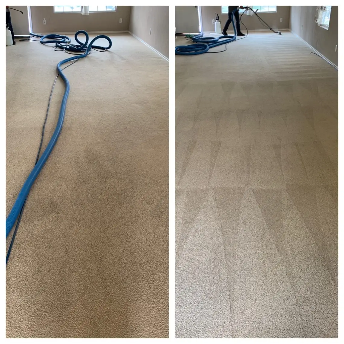 Commercial Carpet Cleaning Services