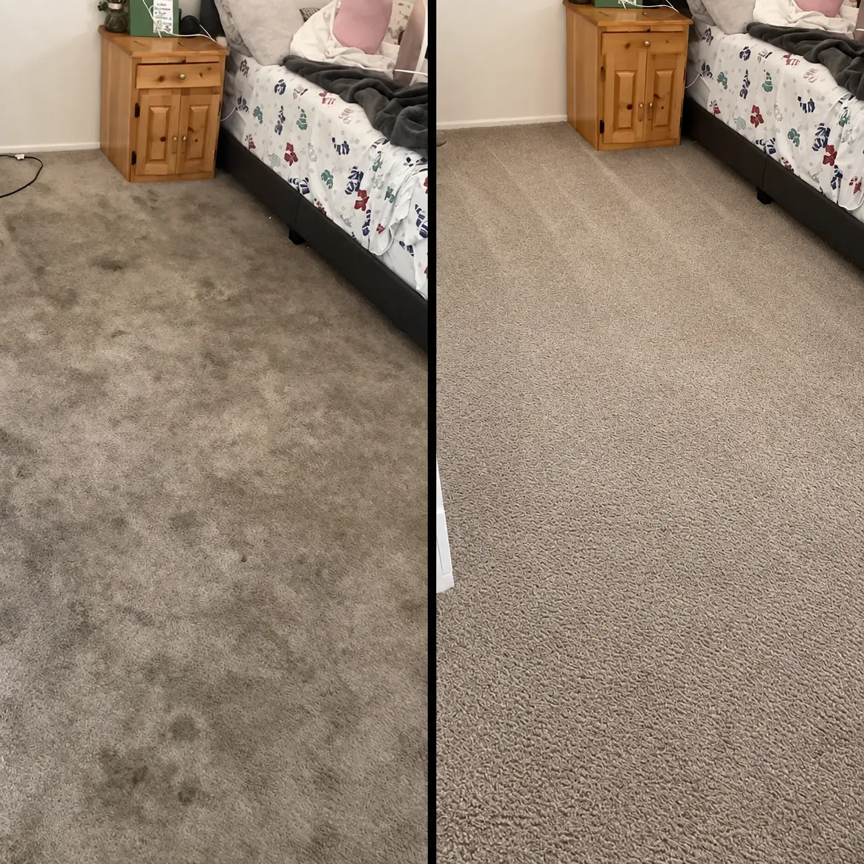 Professional Carpet & Upholstery Cleaning in West Hills
