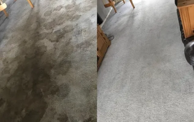 Carpet Cleaning Image 1