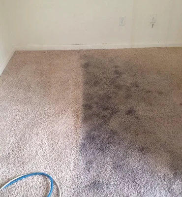 carpet cleaning small room