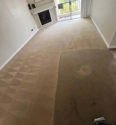 carpet cleaning hall room