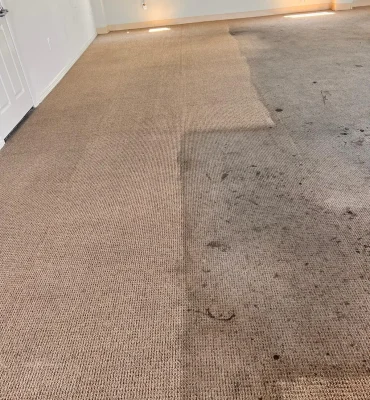 carpet cleaning room