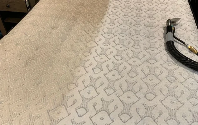 carpet cleaning bed